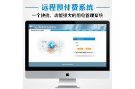 自动化集中抄表系统_市场_远程抄表系统描述设计说明书【威伟】